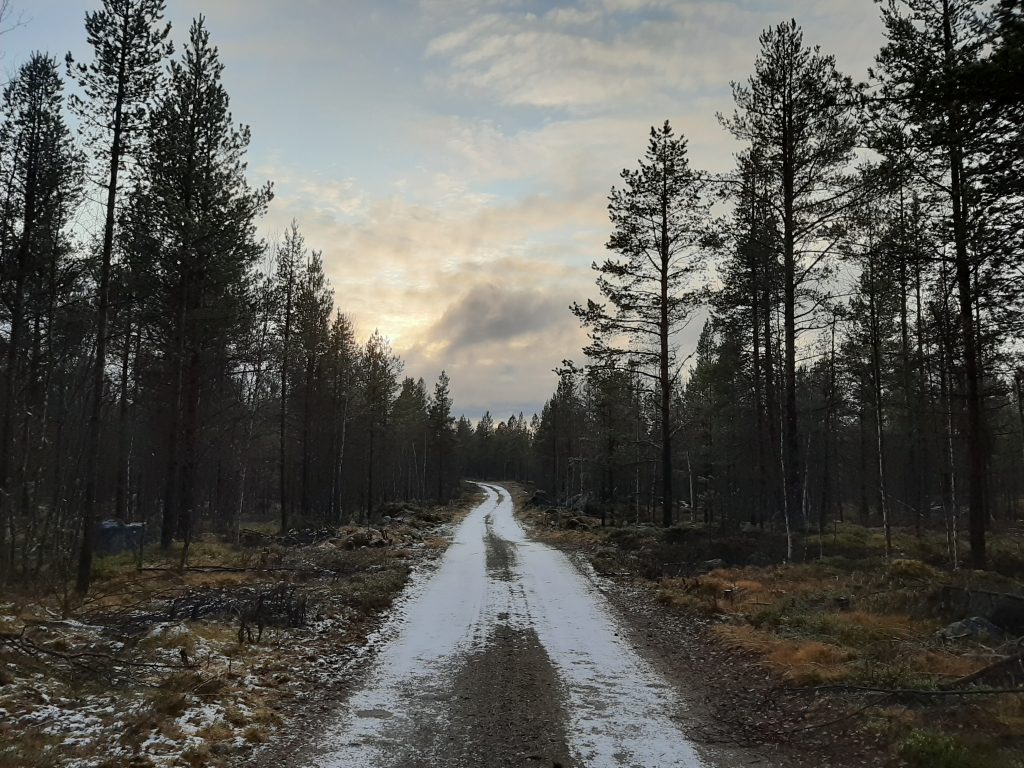 【Folkehøgskole】ノルウェー北部でキャンプに行ってきました（狩猟と釣り）